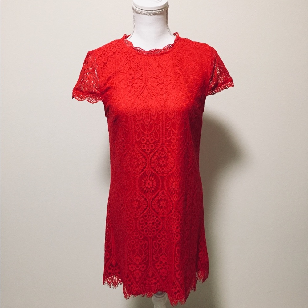 Francesca’s Merida Lace Shift Dress